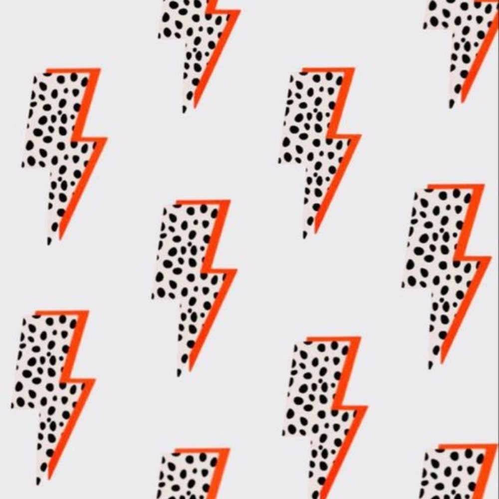 Meet your Posher, Bo